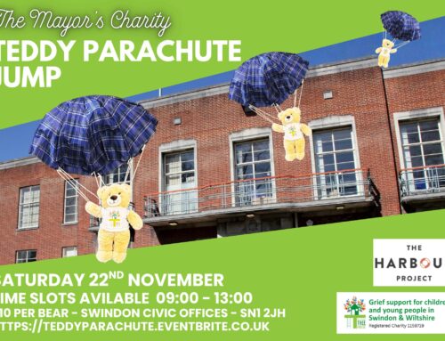 Teddy Parachute Jump