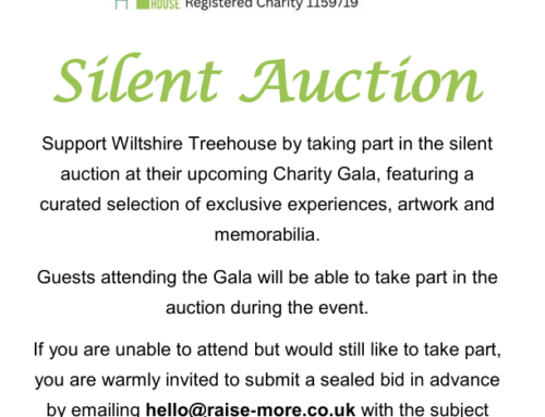 Wiltshire Treehouse Silent Auction